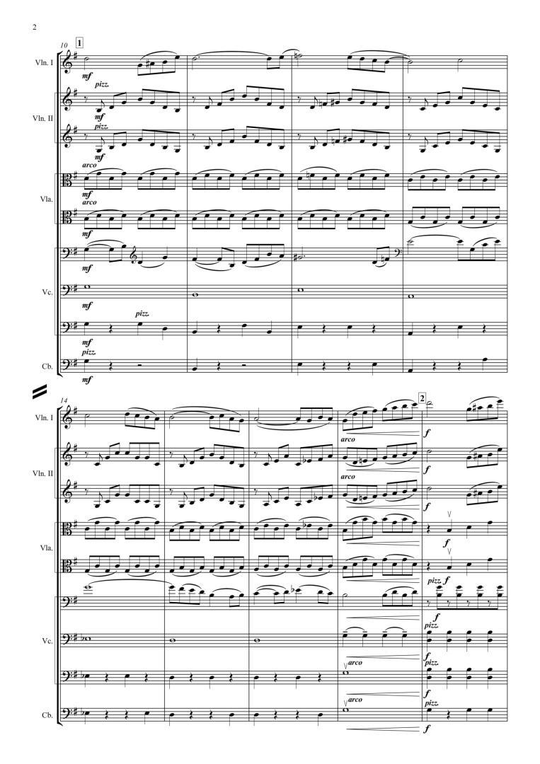 “Nocturne” – for Chamber Orchestra